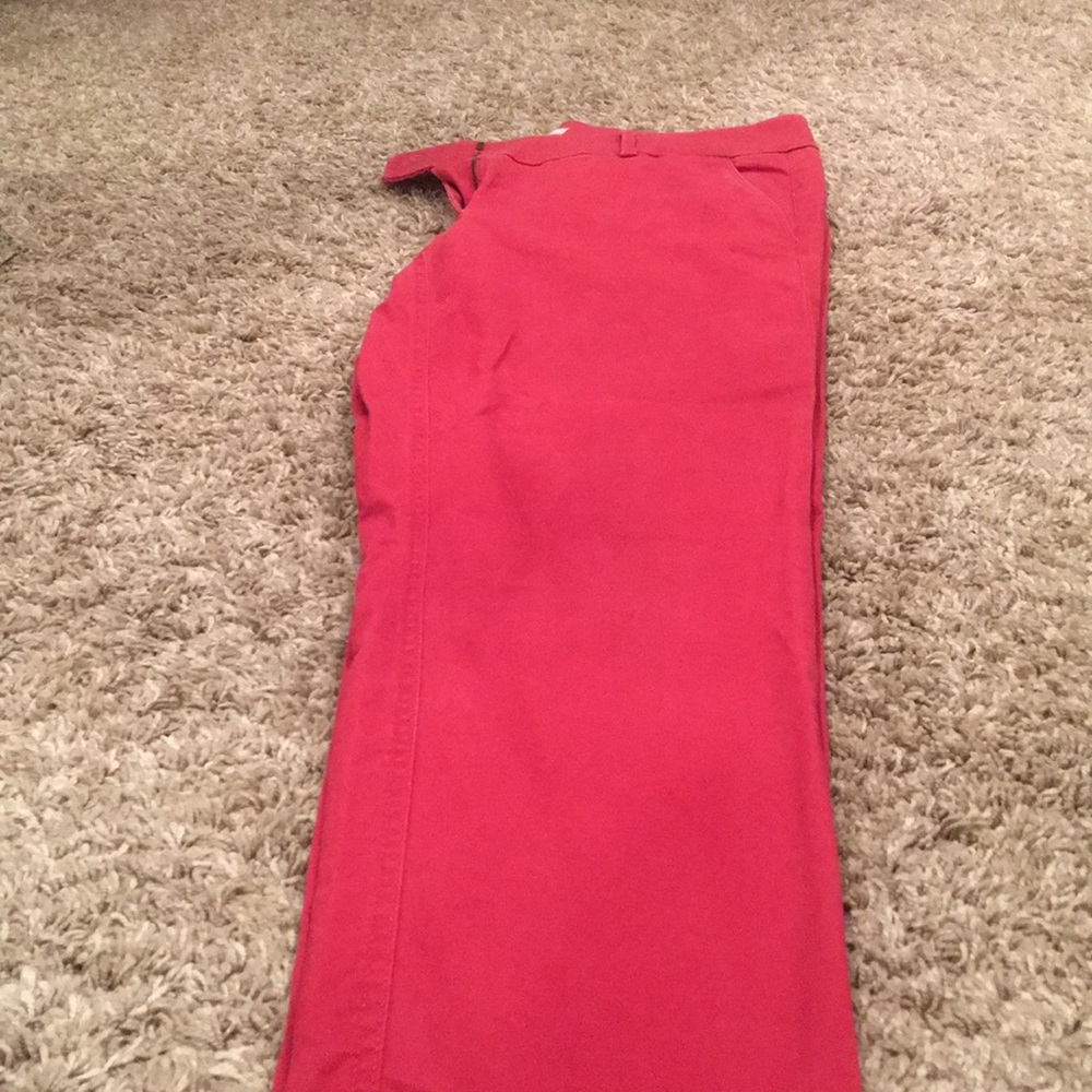 Ann Taylor Loft Pants